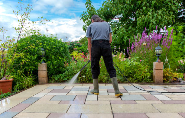 Best Fence Cleaning  in Oildale, CA